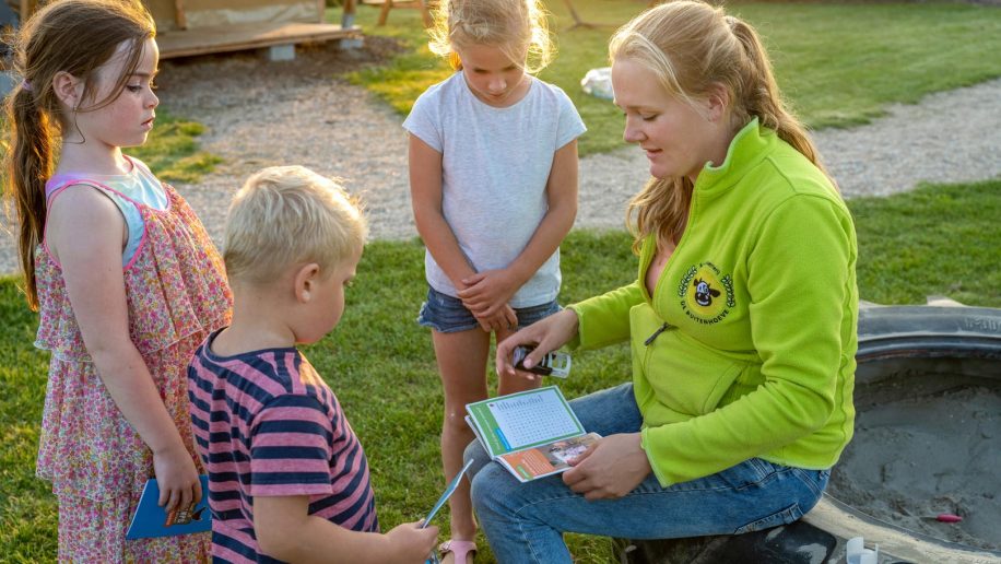 Farmcamps De Buitenhoeve Kleine Camping Nl