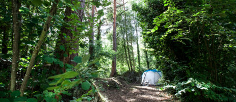 Au Camping et Chalets du Lac d'Aydat is een groene familiecamping in het hart van het regionaal park aan de rand van het Aydat meer in Puy-de-Dôme.