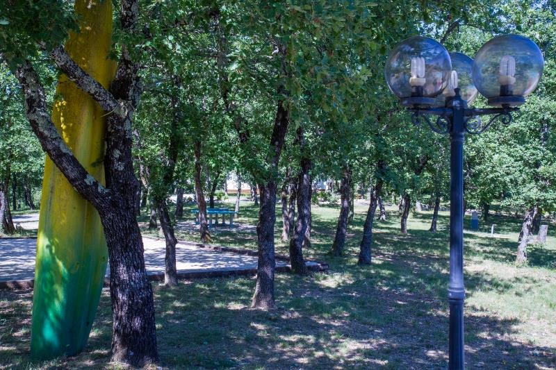 Photo 21