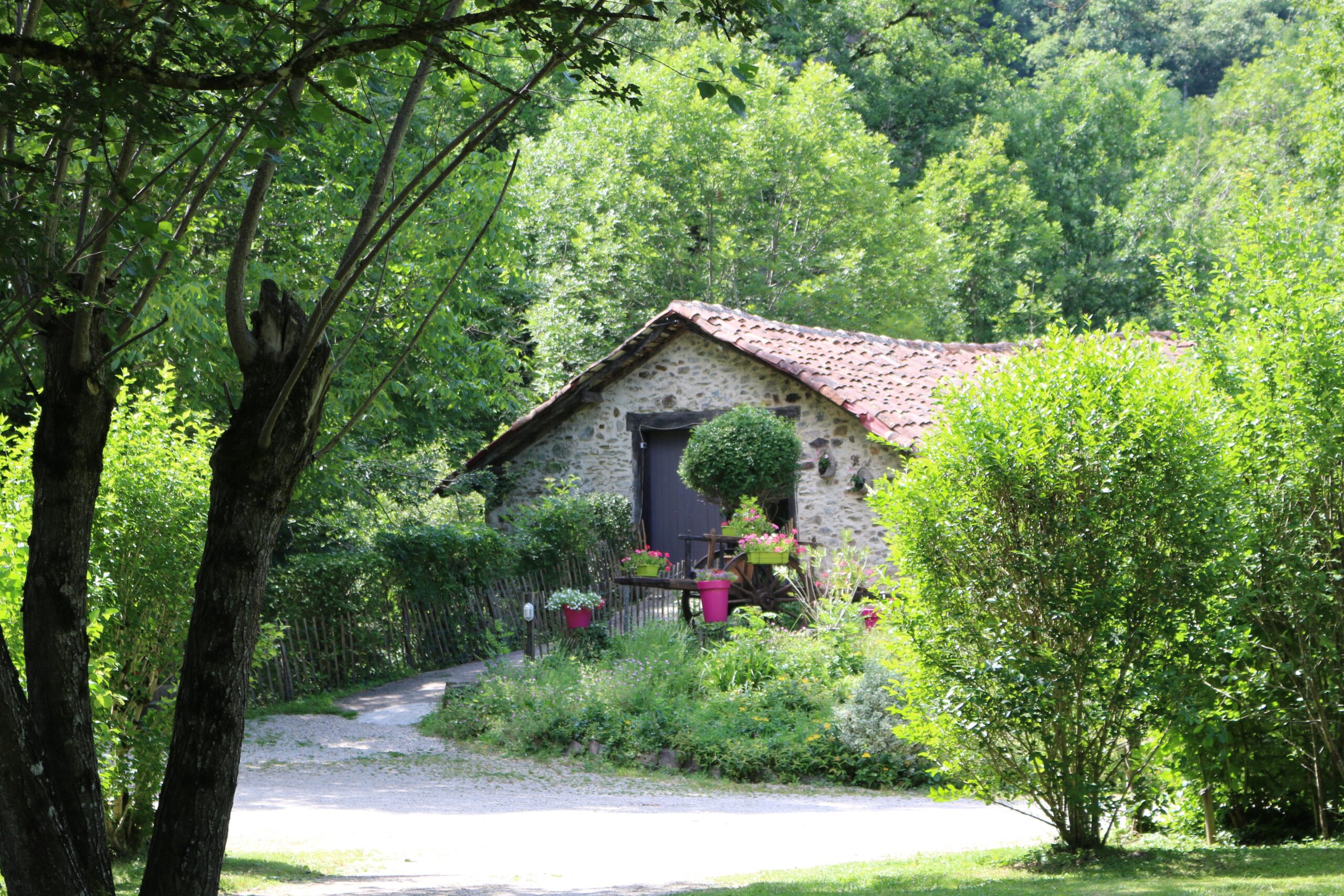 Photo 10