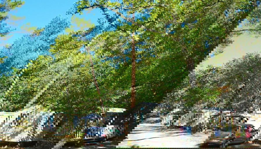 Camping Les Pins de la Coubre - Natuurcamping.nl