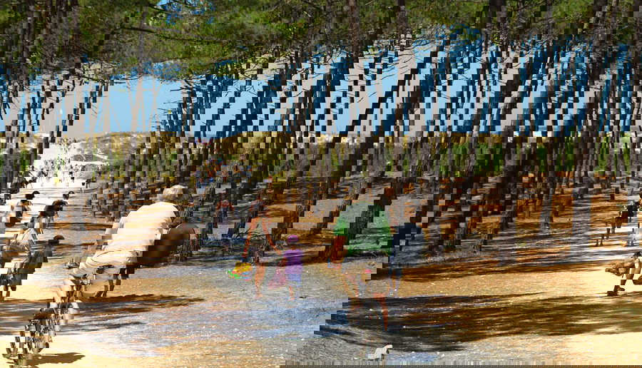 Camping Les Pins de la Coubre - Natuurcamping.nl
