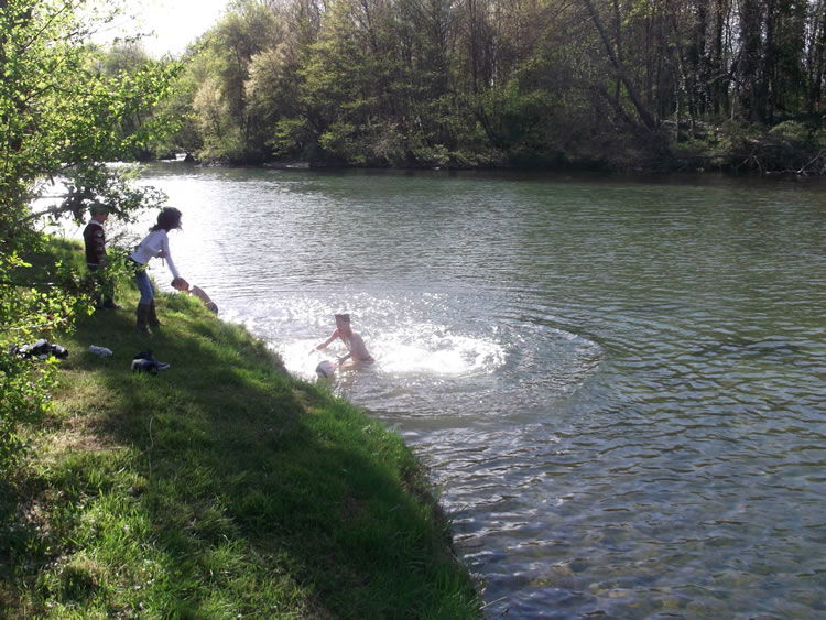 Photo 22