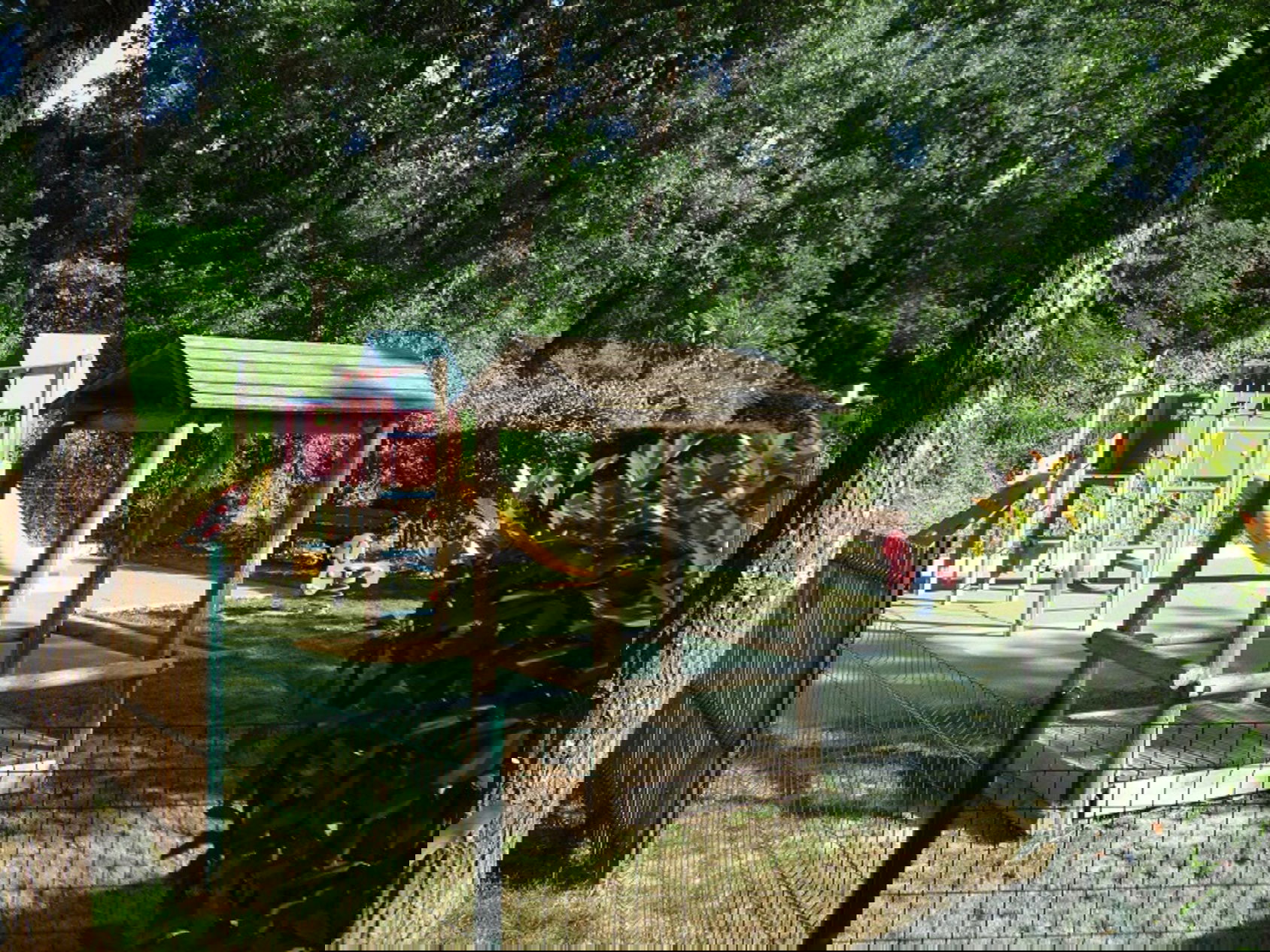 Photo 12