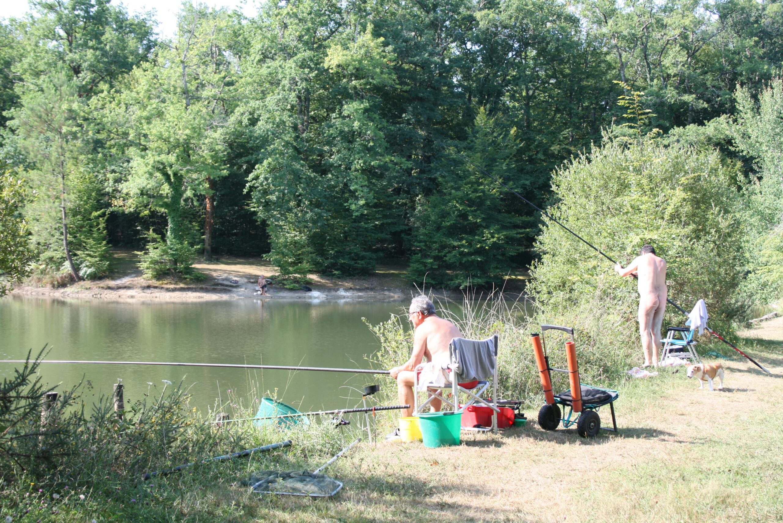 Photo 4