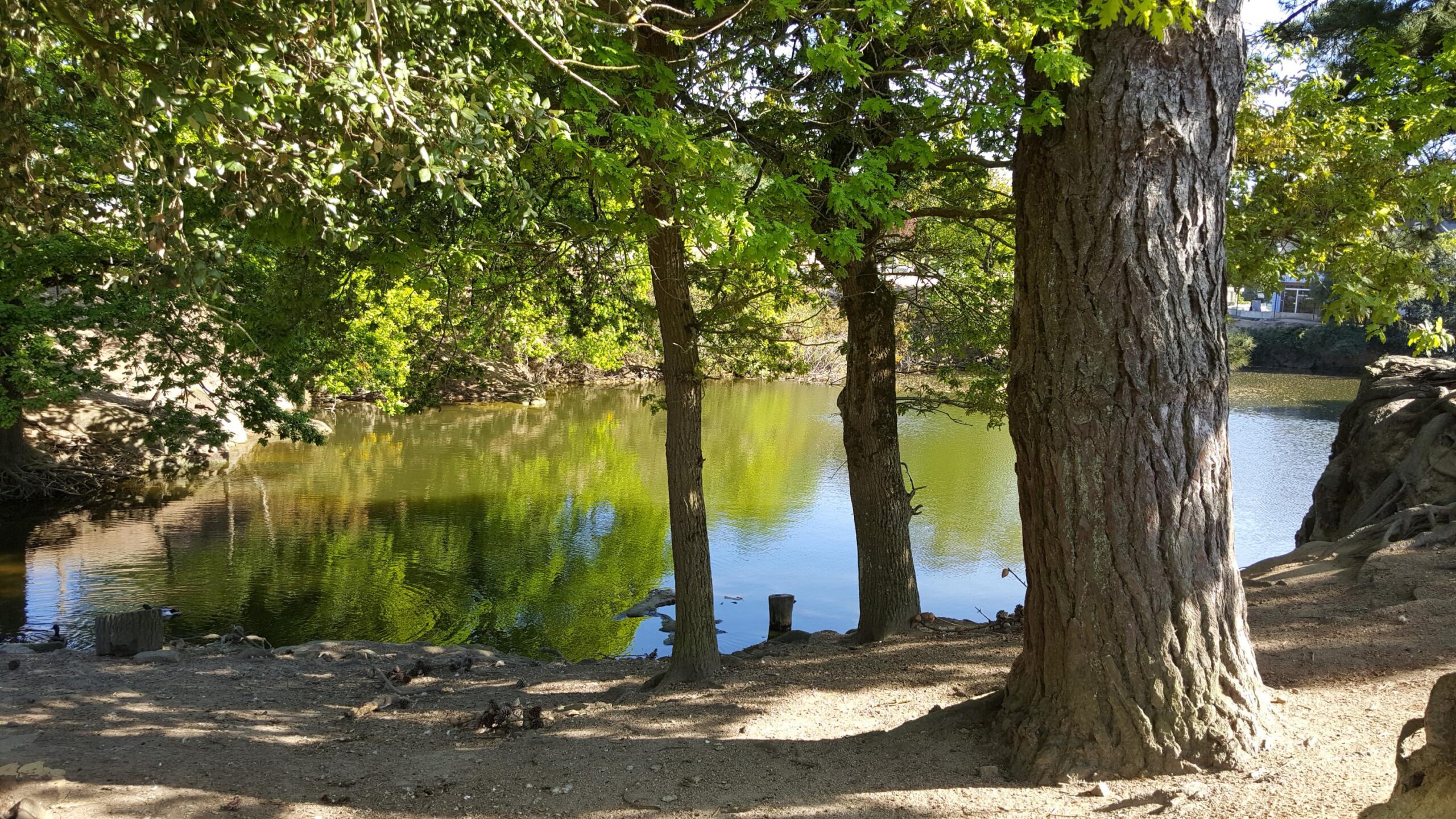 Photo 8