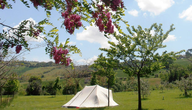 Agricamp Picobello in Montelparo ist ein Charme Camping in Fermo in Marken. Entdecken Sie die Gastfreundschaft, Gemütlichkeit und den Service. 