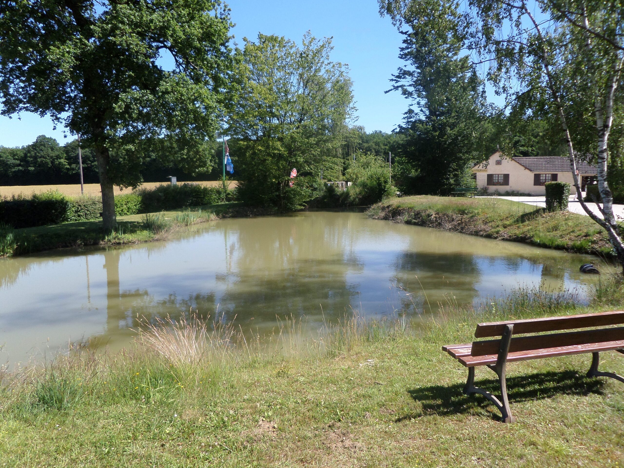 Photo 15