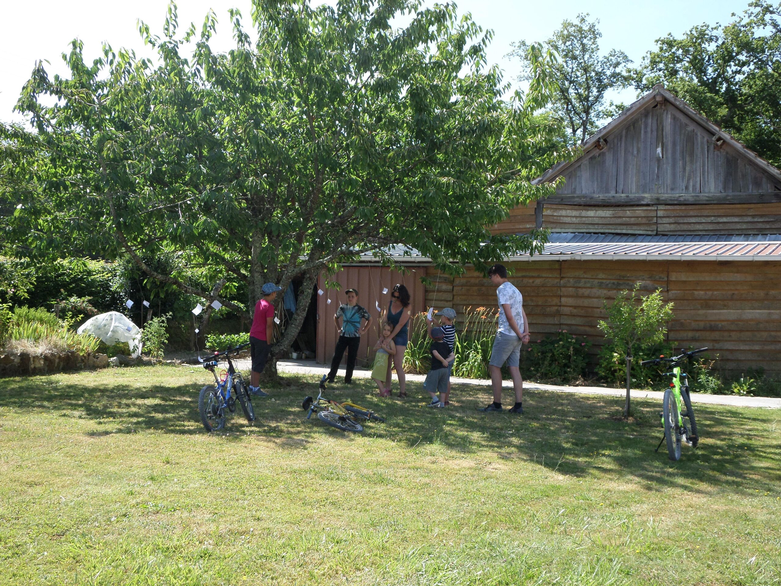 Photo 13