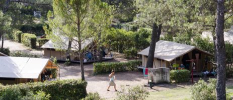 Kindvriendelijke camping in de Provence, verscholen in het bos van de Alpilles, met zwembad en kinderclub, ruime kampeerplaatsen, huisjes en safaritenten.