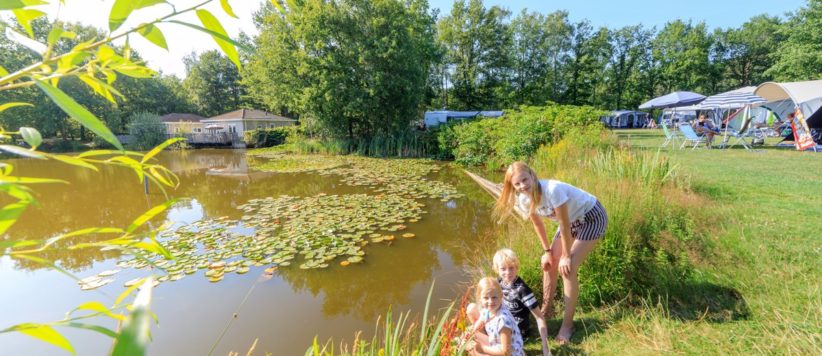 Leuk vakantiepark in Chaam in Noord-Brabant gelegen aan een meer met een zwembad en zwemparadijs, glamping en vrij kamperen mogelijkheden.