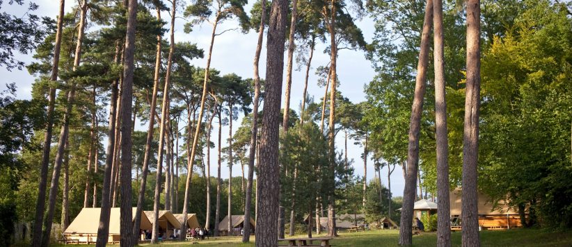 Camping Huttopia Rambouillet in Rambouillet is een natuurcamping in Île-de-France gelegen aan een meer midden in de Yvelines dichtbij Parijs.