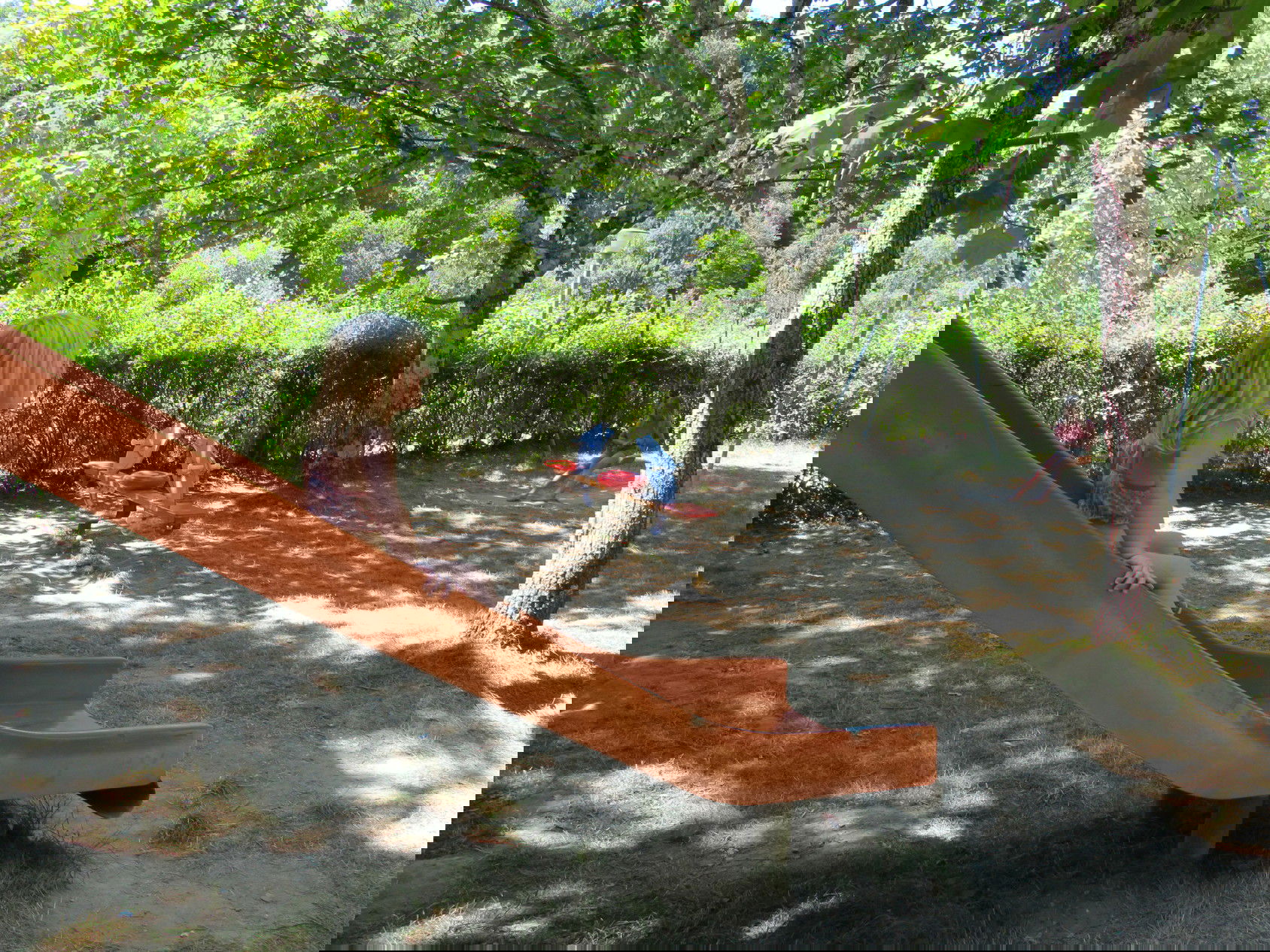 Photo 22