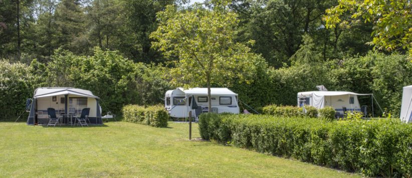 Camping Petrushoeve in Beesel is een rustige kleine camping in een bosrijke omgeving op de grens van Noord- en Midden Limburg.