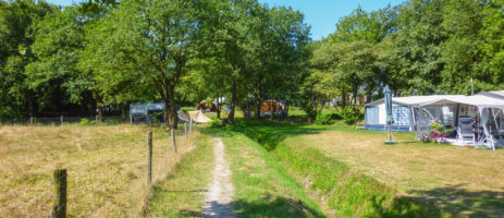 Charme camping Landclub Ruinen is een natuurlijke camping in Drenthe met een binnenzwembad en heel veel comfort. Geniet van de natuur en omgeving.
