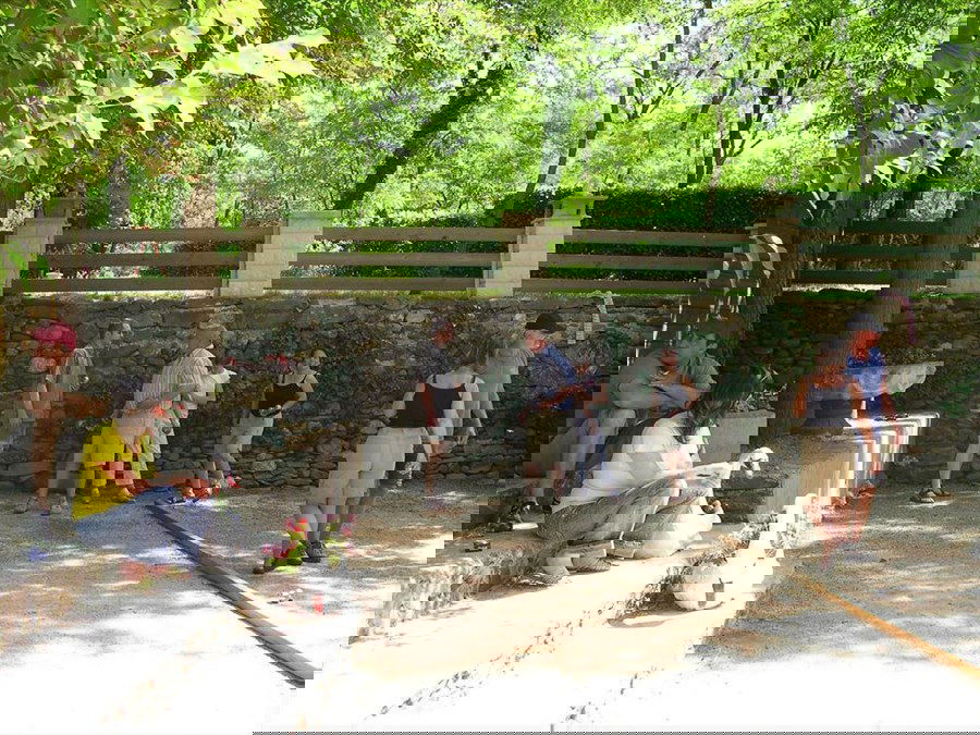 Photo 14