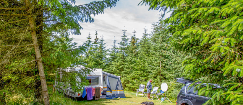 Guldager Camping in Saltum ist ein Charme Camping in Noord-Jutland am Wald.