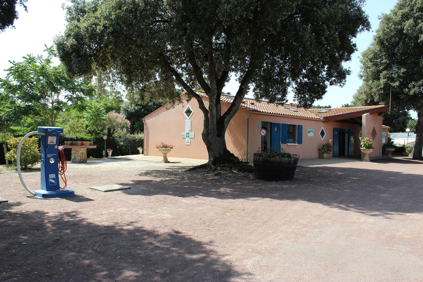 Photo 4