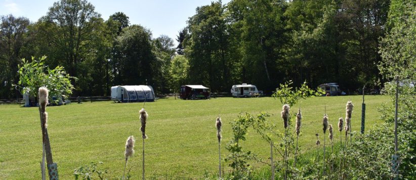 Landschapscamping 't Scharrelhoes in Boekelo in Overijssel is een rustig gelegen camping met een gemoedelijk karakter, te midden van het fraaie Twentse coulisselandschap.