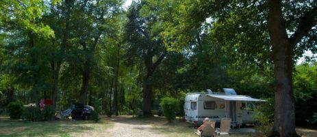 Rustige charme camping in de Landes met zwembad gelegen op het platteland in de regio Aquitaine. 