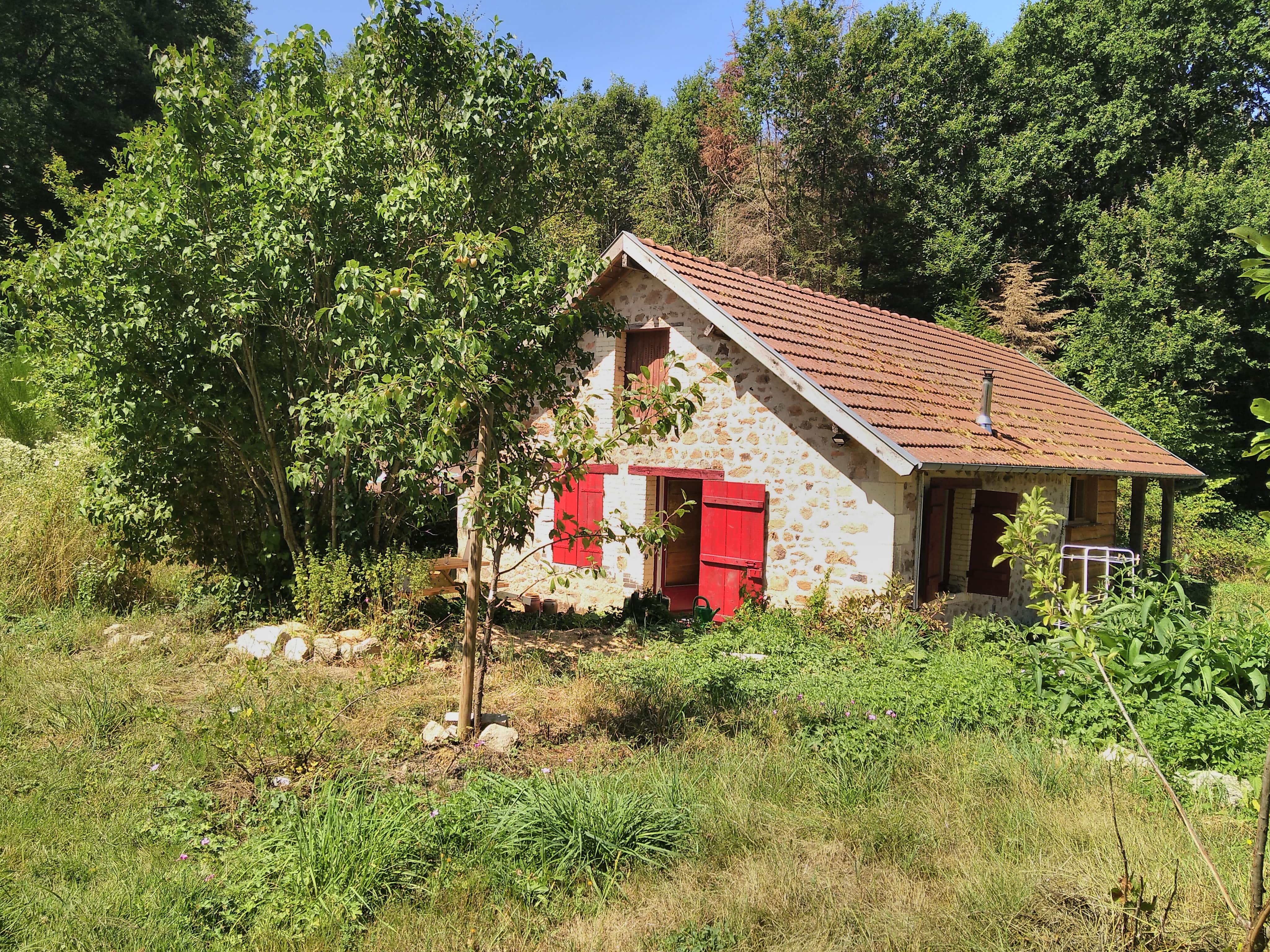 Photo 25