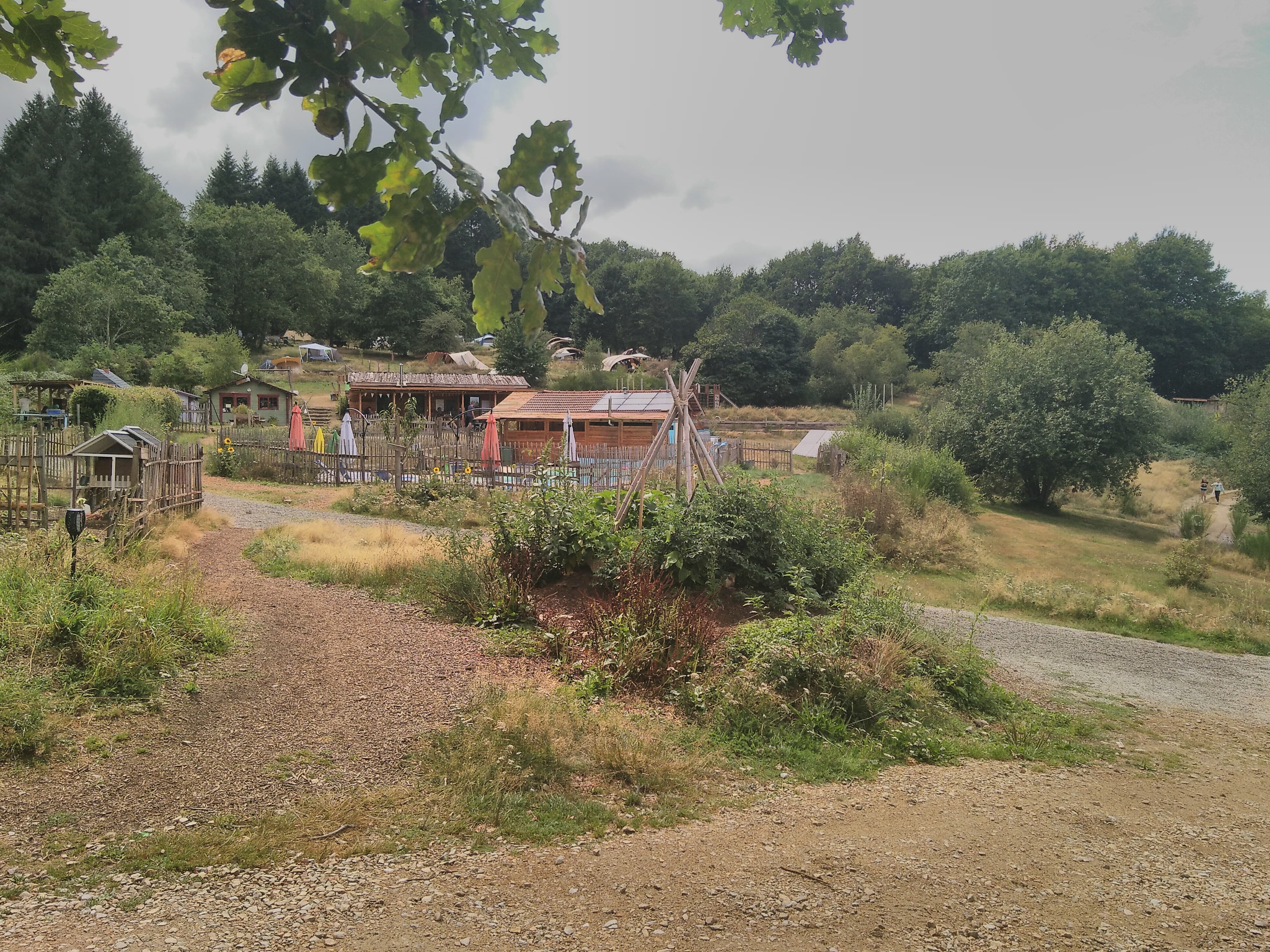 Photo 5