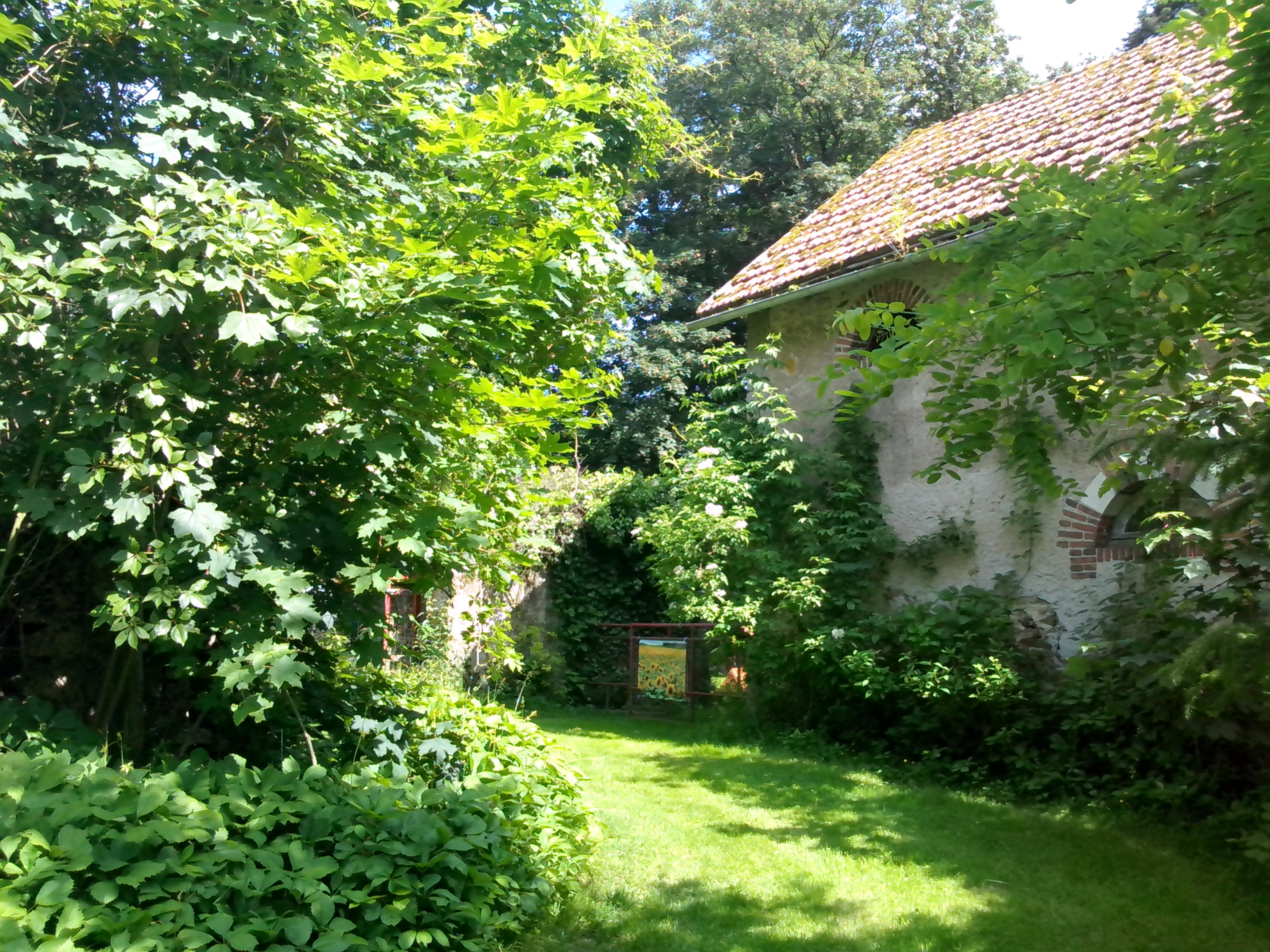 Photo 8