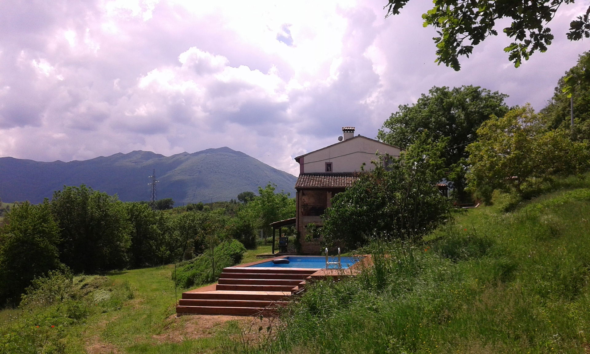 Photo 4
