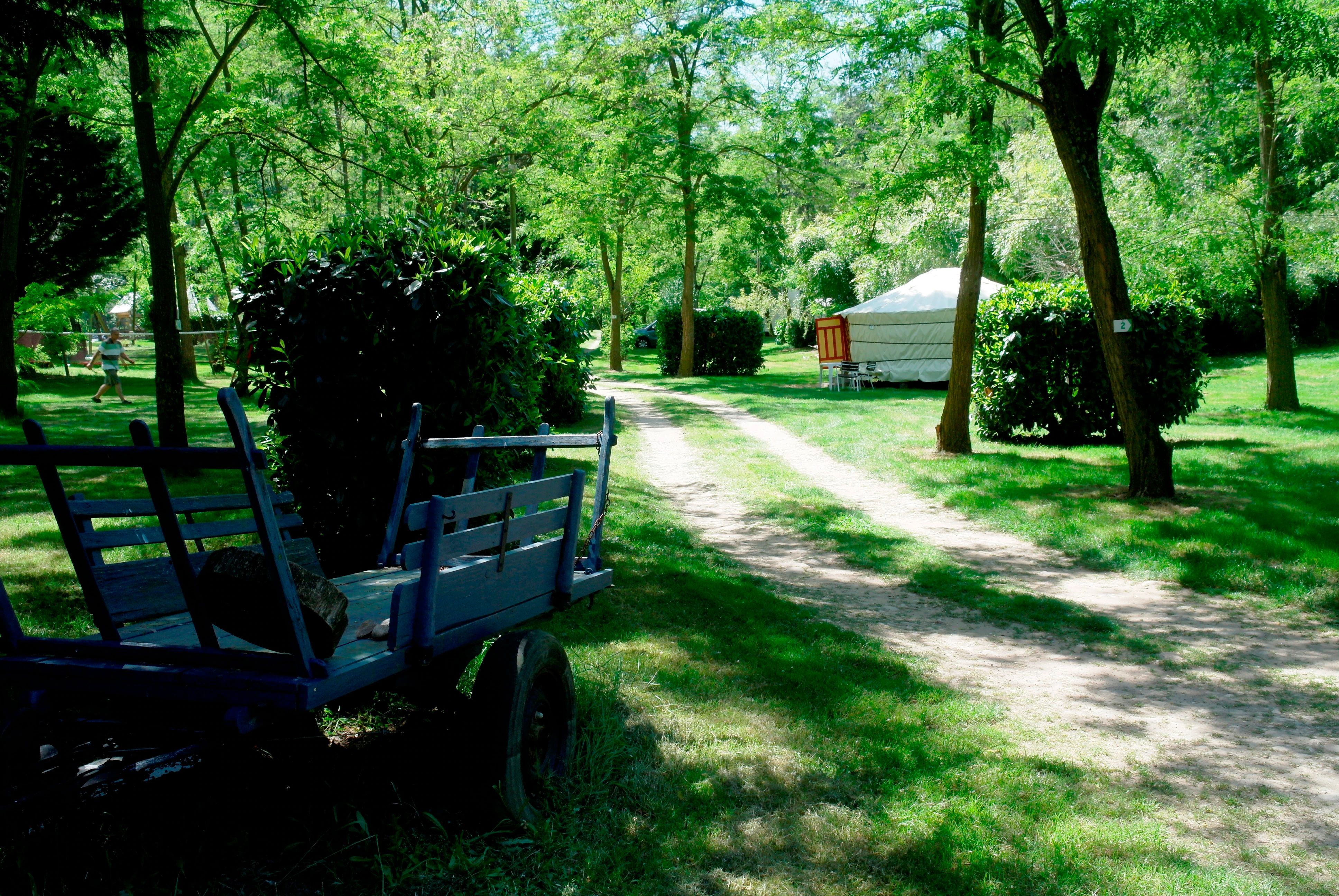 Photo 4