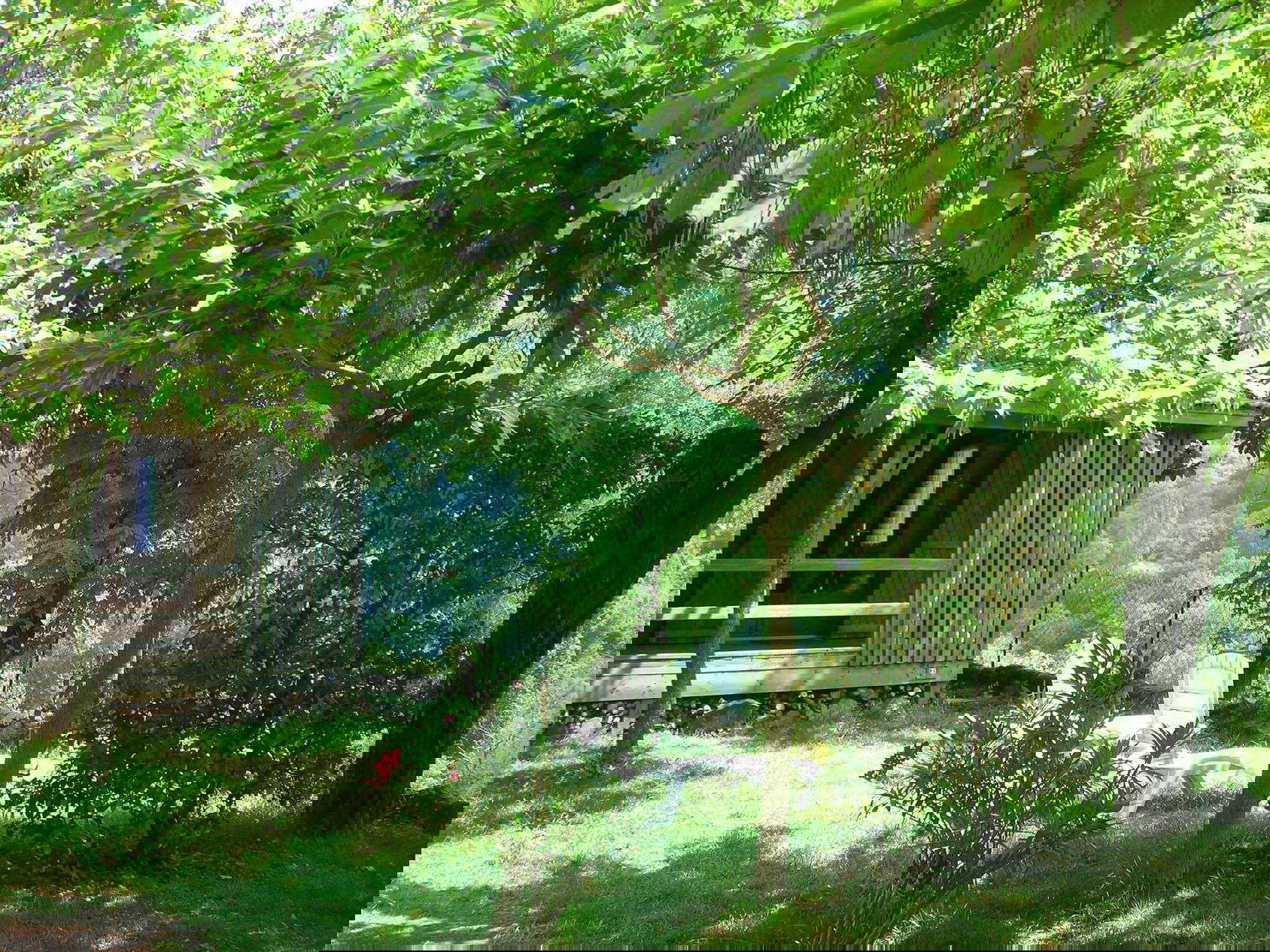 Photo 4