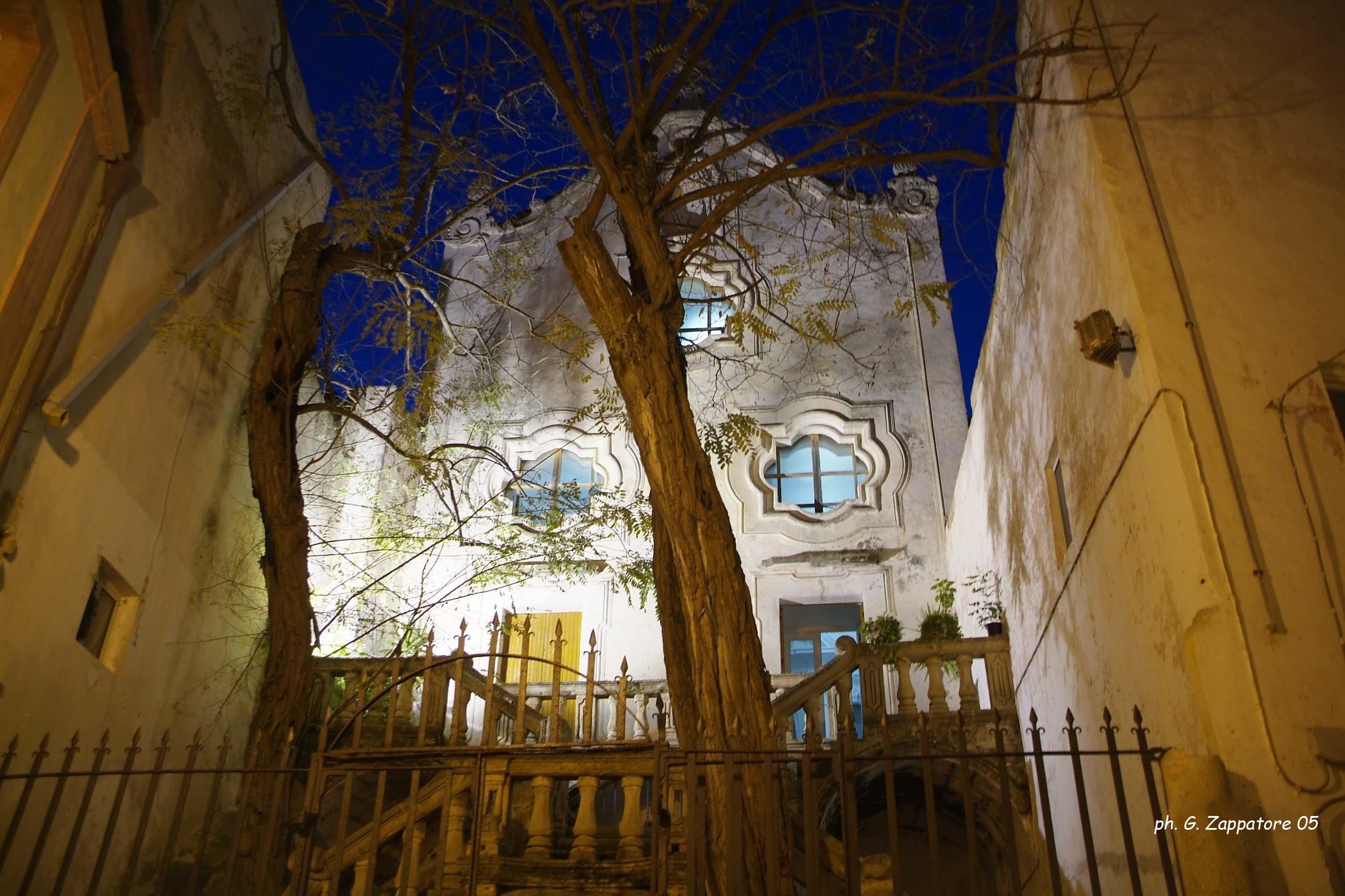 Photo 20