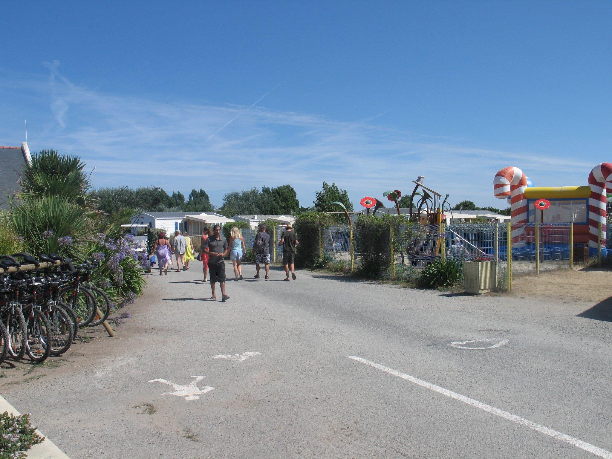 Photo 8