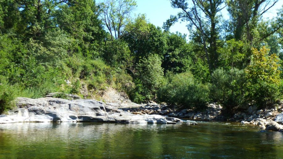 Flower Camping Le Pont Du Tarn Campingspotter.nl