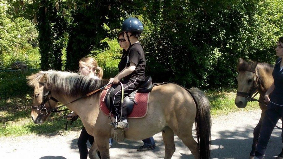 Camping Du Domaine De Massereau Campingfrankrijk.eu Camping Du Domaine De Massereau Campingfrankrijk.eu