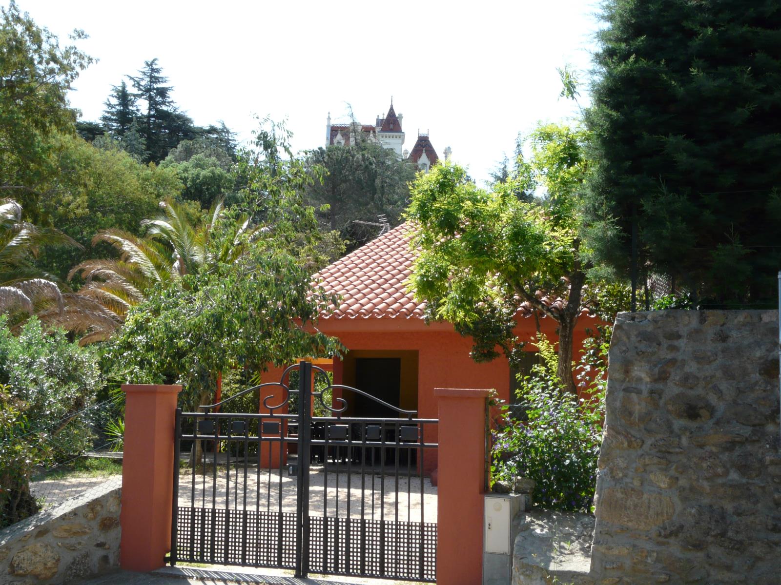 Photo 8