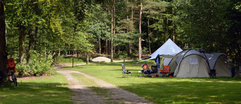 Kamperen in Drenthe? Geniet van een onvergetelijke vakantie op Camping 't Vlintenholt. Kamperen in het bos van Staatsbosbeheer.