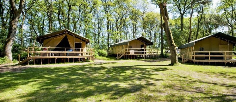 Huur een Summer Lodge op Beerze Bulten in Overijssel. Luxe, sfeervolle ingerichte tenten van hoge kwaliteit canvas, geschikt voor maximaal 6 personen.