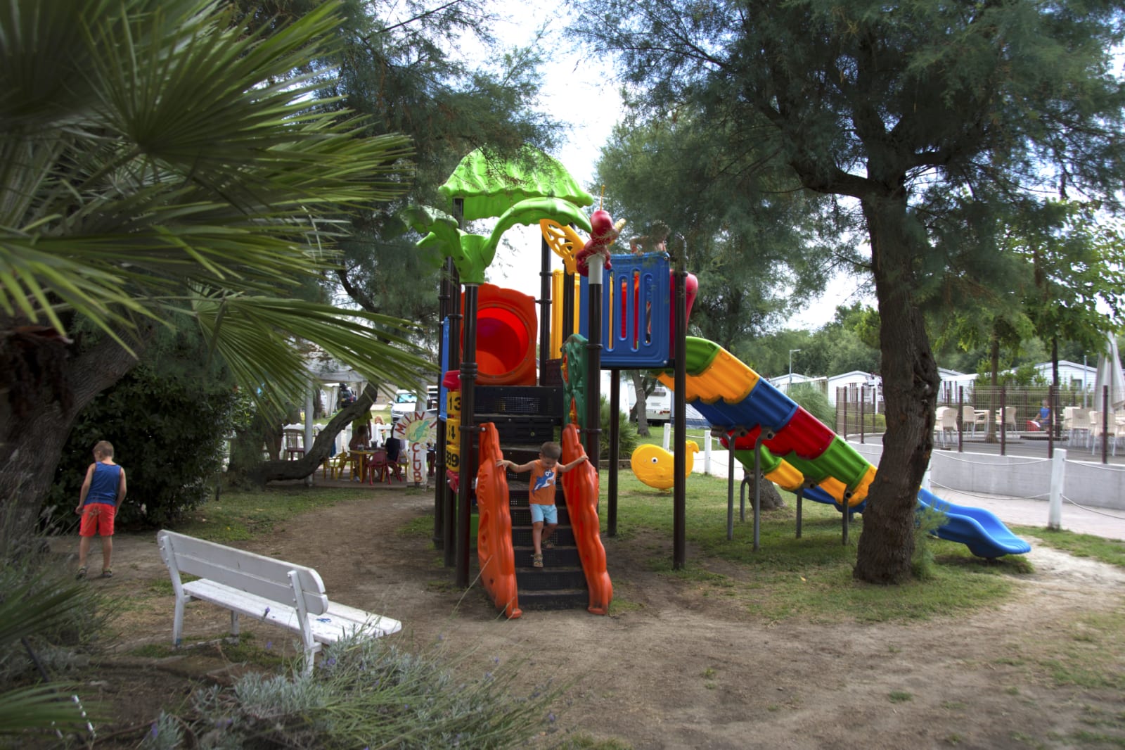 Photo 12