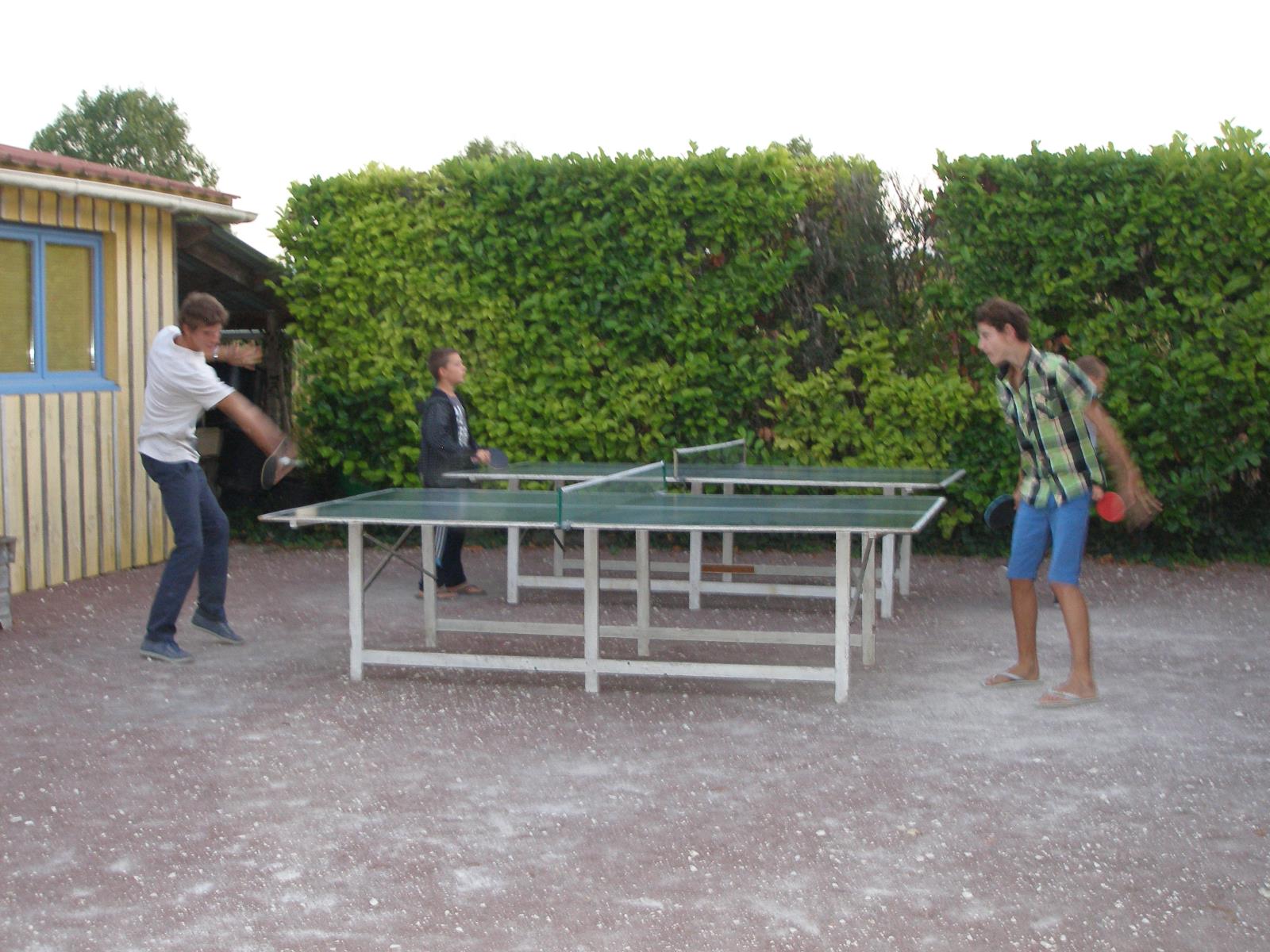 Photo 13