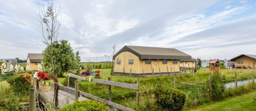 Huur een luxe safaritent voor 4-6 personen op de boerencamping FarmCamps Fleur Stables in Noord-Holland, op 10 km van de Noordzeekust.