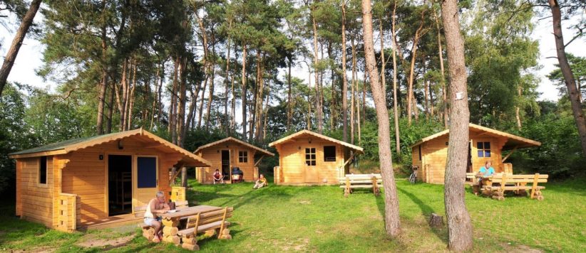 De trekkershut op Ardoer Vakantiepark Diana Heide is geschikt voor maximaal 4 personen en is comfortabel ingericht. 