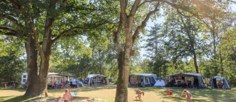 Welkom op het mooiste vakantiepark van Friesland: RCN de Roggeberg. Bungalowpark en camping in Friesland, aan de rand van het Drents-Friese Wold.