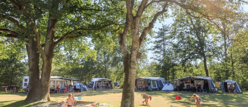RCN de Roggeberg in Friesland is een mooie camping en vakantiepark met boshutten, spetterparadijs en animatie gelegen aan de rand van het Drents-Friese Wold.