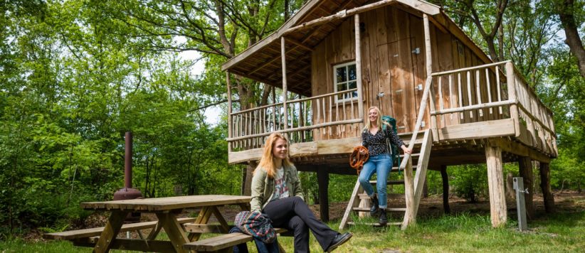 Knusse boomhut voor 4 personen gelegen op Camping Torentjeshoek in Dwingeloo. Kom een weekendje overnachten in de boomhut en ga even ‘’back-to-nature’