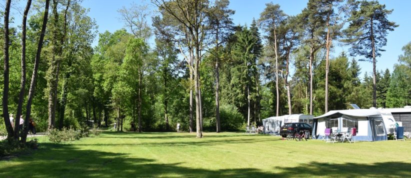 Mooie bosrijke & kindvriendelijke camping in Ommen met zwembad, bungalow, glamping lodge en kampeerplaatsen in de bossen van Overijssel.