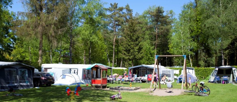 TopParken Recreatiepark ’t Gelloo op de Veluwe is een mooie familiecamping en vakantiepark met binnen- en buitenzwembad gelegen in de groene bossen van Gelderland.