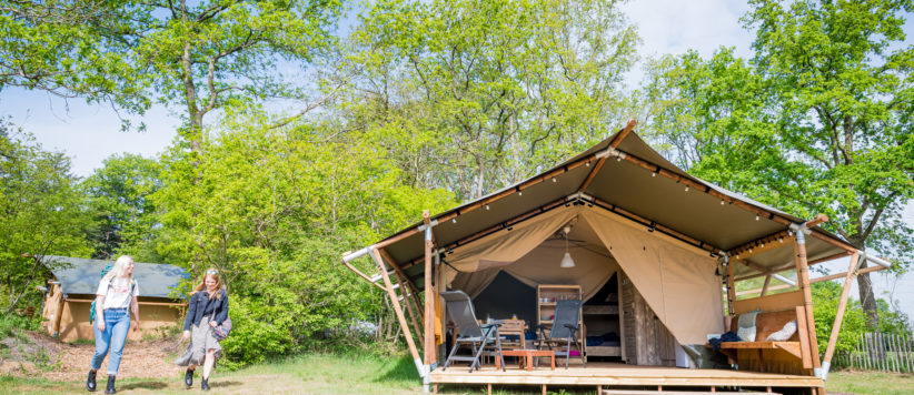 Camping Torentjeshoek is een gezellige familiecamping met safaritenten gelegen in de natuur van het Nationaal Park Dwingelderveld in Drenthe. 