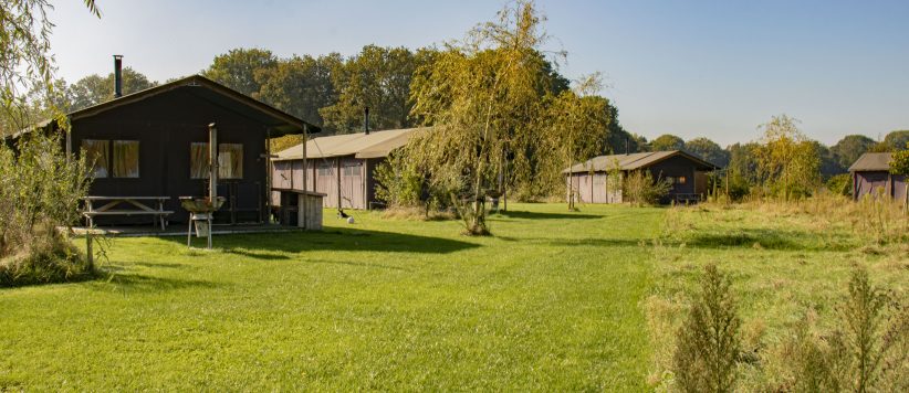 Volledig ingericht tenthuisje met privédouche voor 6 personen gelegen op de boerderij Mariahout in de Hei in het Noord-Brabantse Mariahout.