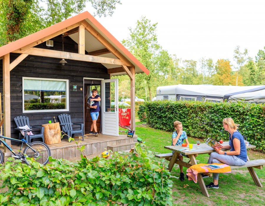 De Veluwse trekkershut voor 4 personen staat op Ardoer Camping De Zandhegge. Toilet is aanwezig. De hut is voorzien van een ingerichte keuken, kacheltje en TV.