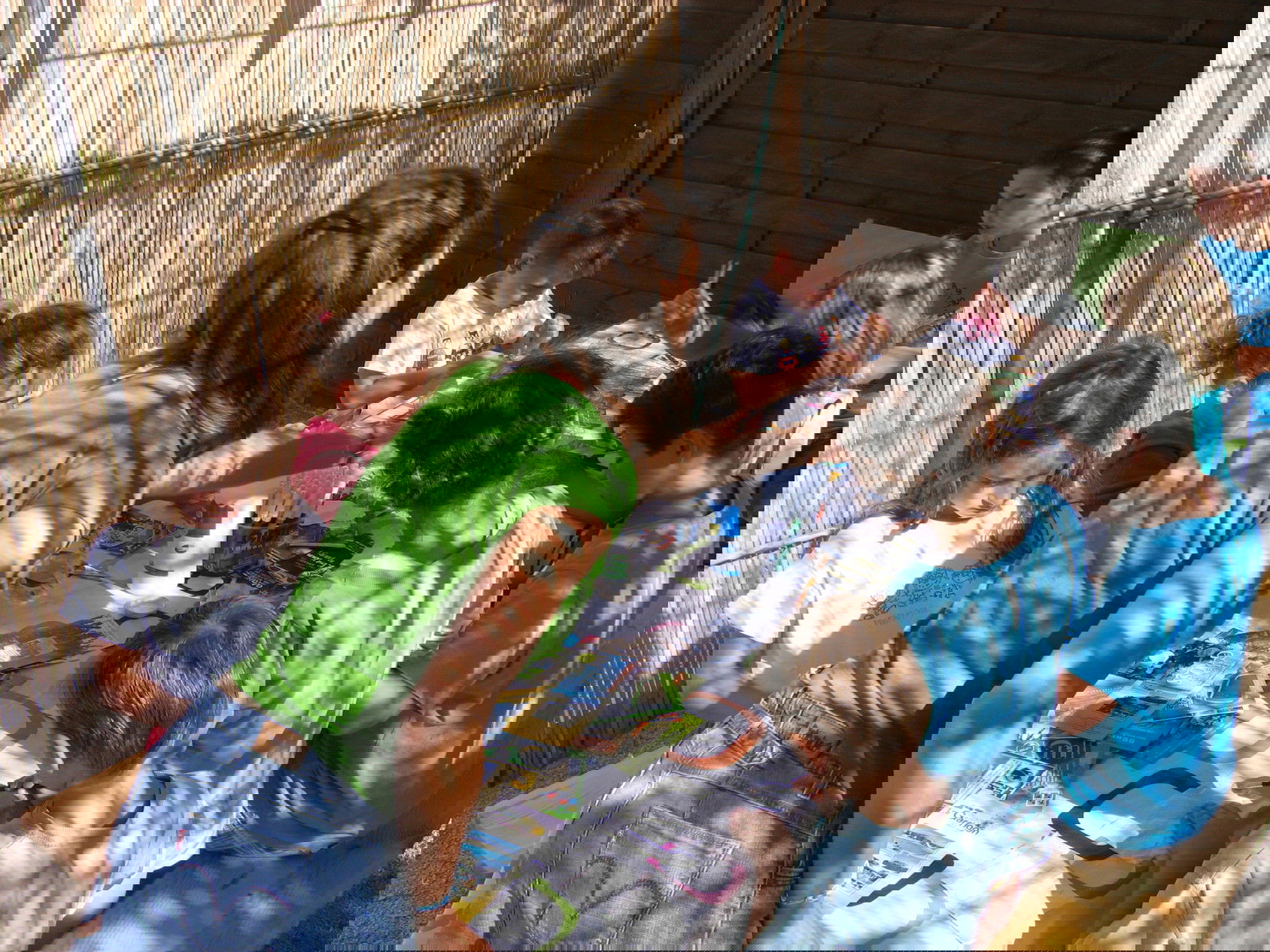 Photo 15